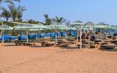 Туры в отель Ghazala Beach Hotel