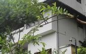 Туры в отель The Best Hostel