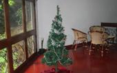 Туры в отель The Best Hostel