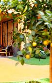 Туры в отель Hotel F6