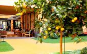 Туры в отель Hotel F6