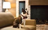 Туры в отель Hotel F6