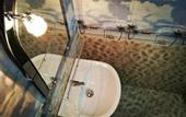 Туры в отель Sigiri Lakshan Home Stay