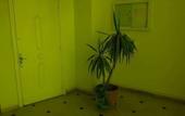 Туры в отель Rent Apartment In Tunis
