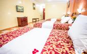 Туры в отель Hotel Les Ambassadeurs