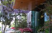 Туры в отель Hotel Giardinetto