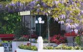 Туры в отель Hotel Giardinetto