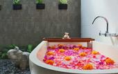 Туры в отель Solo Villas and Retreat
