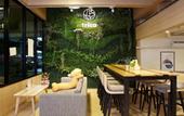 Туры в отель Trica Hostel