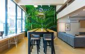 Туры в отель Trica Hostel