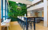 Туры в отель Trica Hostel