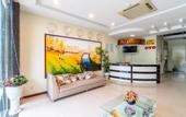 Туры в отель Hava Hotel Danang
