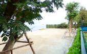 Туры в отель Sikhara Plago Resort