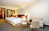 Туры в отель Becamex Hotel New City