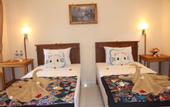 Туры в отель Pande Guest House Pemuteran
