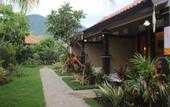 Туры в отель Pande Guest House Pemuteran