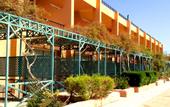 Туры в отель Giftun Azur Beach Resort