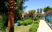 Туры в отель Giftun Azur Beach Resort