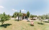 Туры в отель Socrates Organic Village - Wild Olive