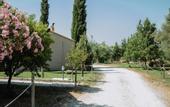 Туры в отель Socrates Organic Village - Wild Olive