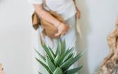 Туры в отель Socrates Organic Village - Wild Olive