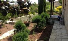 Paradise Traditional House