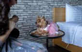 Туры в отель Get Zleep Premium Budget Hotel
