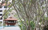 Туры в отель Harmony Resort Hotel