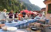 Туры в отель Alpenhotel Tauernkoenig