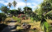 Туры в отель HIP Seaview Resort at Phi Phi