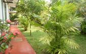 Туры в отель Indrani Inn