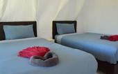Туры в отель Raven Blue