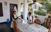 Туры в отель Nethu freedom cottage