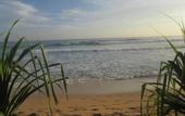 Туры в отель Nethu freedom cottage