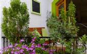 Туры в отель Gioma