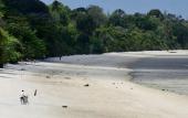 Туры в отель Zanzibar Ocean View Hotel