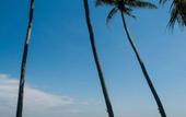 Туры в отель Most Exotic Beachfront Villa Keong