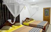 Туры в отель Max Safari Villa