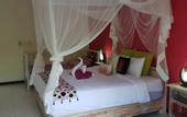 Туры в отель Nalini Resort