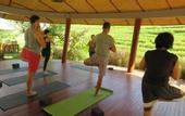 Туры в отель De Moksha Eco Friendly Boutique Resort