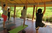Туры в отель De Moksha Eco Friendly Boutique Resort