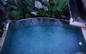 Туры в отель Griya Shanti Villas & Spa
