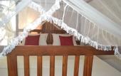 Туры в отель Midigama Holiday Inn