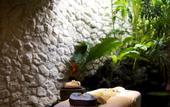 Туры в отель Planta Luxury Boutique Resort