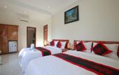 Туры в отель Coconut Garden Homestay Hoi An