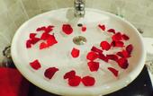 Туры в отель Coconut Garden Homestay Hoi An