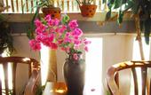 Туры в отель Seaside An Bang Homestay