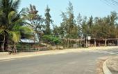 Туры в отель Seaside An Bang Homestay