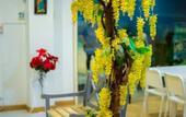 Туры в отель Z-Talay House