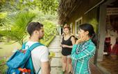 Туры в отель Tam Coc Rice Fields Resort